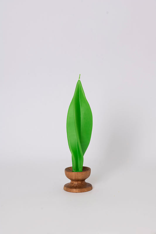 Vela Carambola